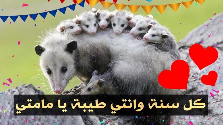 حيوانات تستحق عيد أم