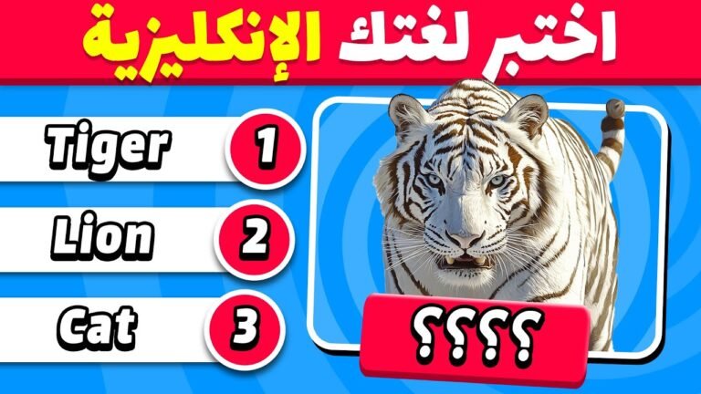 اختبار اللغة الإنكليزية | هل يمكنك معرفة الكلمة الإنكليزية؟📚