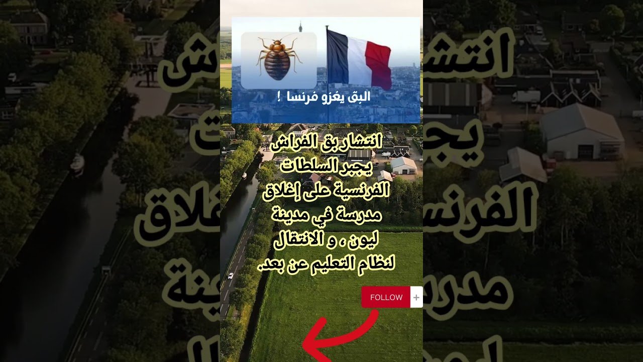 1742089660_maxresdefault